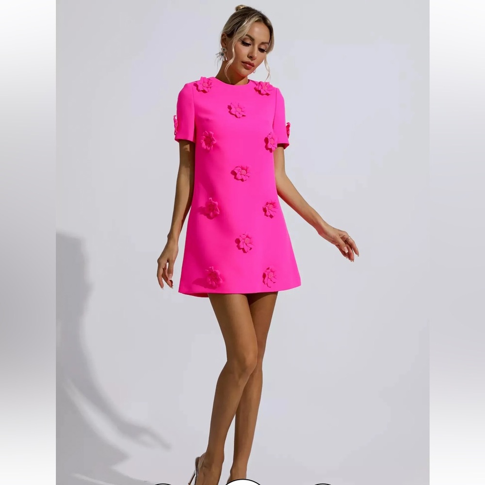 NWT Catchall Alison Pink Jacquard Floral Mini Dress - L